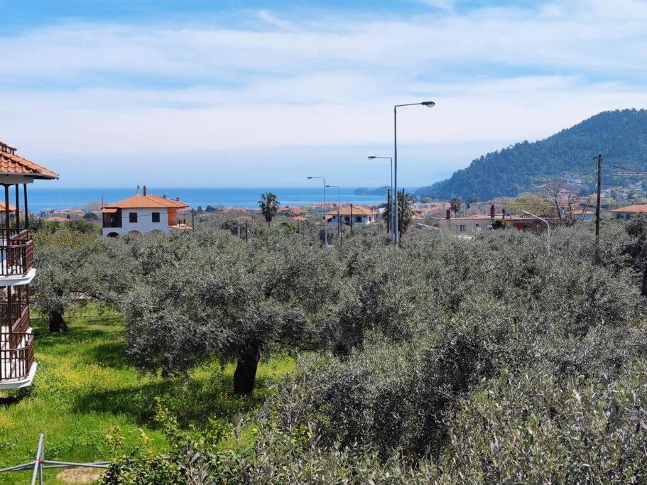 Вила Елена-Villa Elena 1 Skala Potamia  Exteriör bild