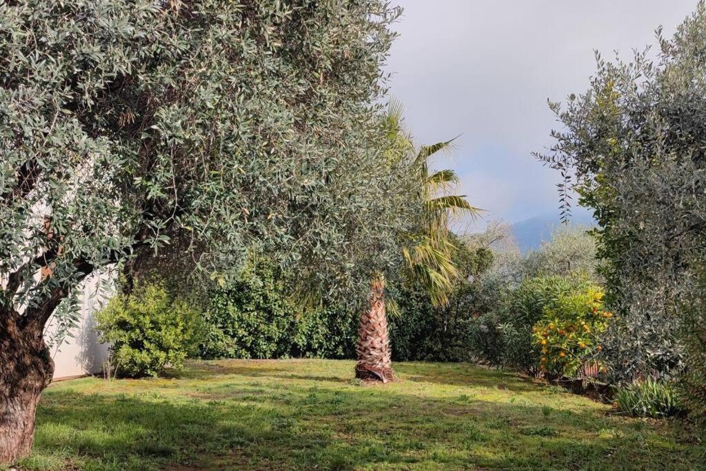Вила Елена-Villa Elena 1 Skala Potamia  Exteriör bild
