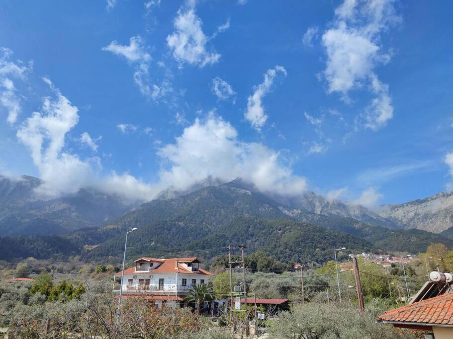 Вила Елена-Villa Elena 1 Skala Potamia  Exteriör bild